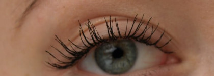 Весенний дуэт:  Удлиняющая тушь для ресниц + Минеральные тени Frost от Era Minerals