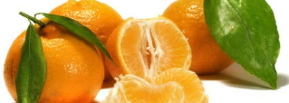 Моя любовь к востоку Serge Lutens Аrabie