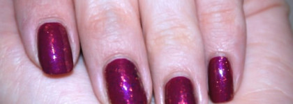 Слюда от Dance Legend № 930