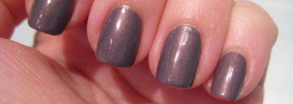 Бюджетный Парадоксал или Alessandro #513