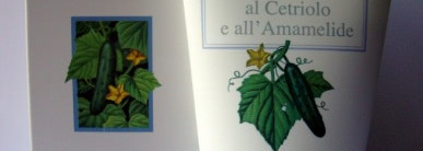 Деликатное очищение комбинированной кожи с L`erbolario Latte di Pulizia per il Viso al Cetriolo e all'Amamelide (L`erbolario Cucumber and Witch Hazel Cleansing Milk)