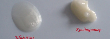 Shiseido Tsubaki Shining