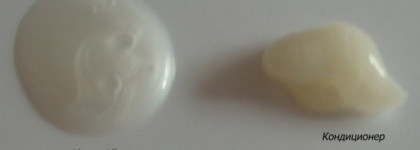 Shiseido Tsubaki Damage Care