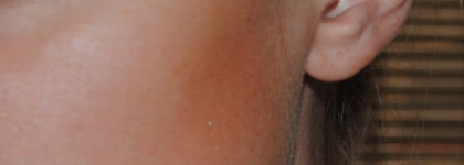 Artdeco blusher 11
