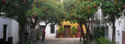 Сыворотка с витамином С от Авалон Органикс - Avalon Organics Vitamin C Vitality Facial Serum