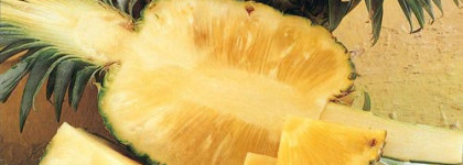 Giorgio Armani Acqua Di Gio