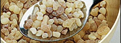 Rance Eau de Parfum Millésimé Triomphe 1795