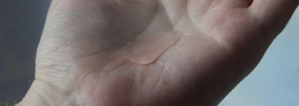 Зеленая серия от Payot