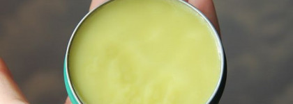 Парочка веселых барсуков