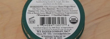 Парочка веселых барсуков