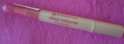 Знакомство с Essence
