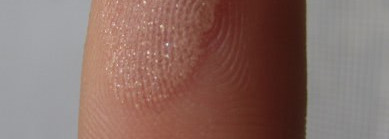 Знакомство с Essence