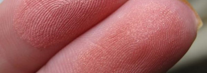 Такие разные, но так похожи! Румяна Chanel Joues Contraste 82 Reflex  и Bourjois Blush 32 Ambre D`or