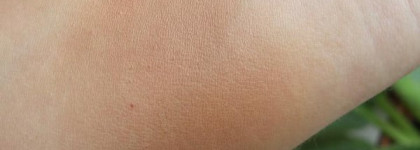 Еще раз о Guerlain Terracotta 4 Seasons