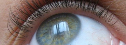 Туши для ресниц  Dior Diorshow Iconic и Lancome Hypnose