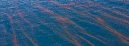 Creative Nail Design, OilSlick