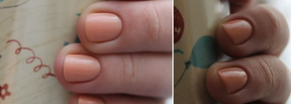 В ожидании Сhanel June с Golden Rose