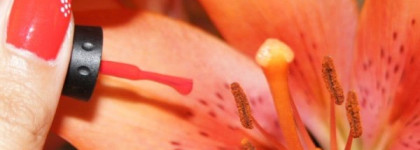 Жаркий Teeny bikini от ORLY и красавец Sally Hansen White Nail Art Pen