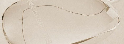 Comme des Garçons 2: моя история любви