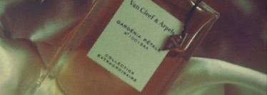 Collection Extraordinaire Van Cleef & Arpels Gardenia Petale: моя идеальная гардения