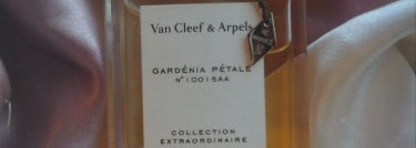 Collection Extraordinaire Van Cleef & Arpels Gardenia Petale: моя идеальная гардения