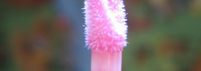 Фаворит этого лета - блеск Lumene Volume Lip Gloss обновлённой серии Wild Rose, оттенок 25