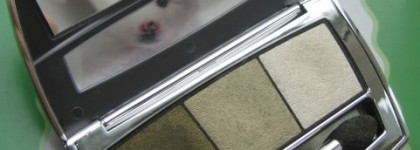 Болотно-зелёное трио теней Beyu – Catwalk Star Eyeshadow, номер 29