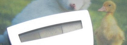 Болотно-зелёное трио теней Beyu – Catwalk Star Eyeshadow, номер 29