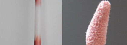 Красота для губ от NYX