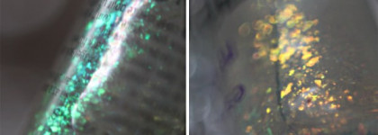 Мой первый лак-слюда или Essence 01 Waking Up In Vegas