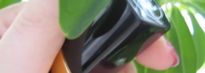 Любимая Chanel Rouge Coco Shine 70 Sourire