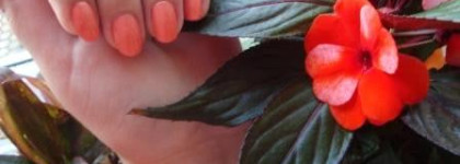 Веселый летний Pupa