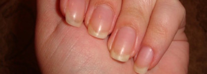 Пополнение запасов  Golden Rose №72  и Golden Rose №56