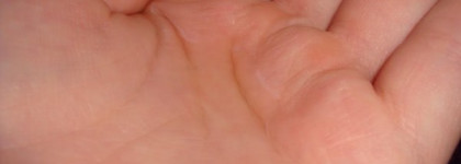 Новые покупки Green Mama в старом году