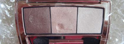 Любимые теньки Beyu Catwalk Star Eyeshadow #60