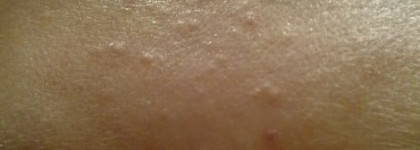 Начало дружбы с L’occitane