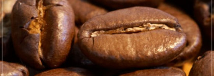 Кофе без кофеина или Cafe-Cafe “Cafeina”