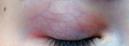 Базы для век: Benefit, Beyu, Lumene