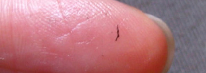 Payot - Démaquillant Sensation Yeux et Lèvres