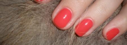 Цветомания или Rimmel London Pro Professional Finish Nail Polish № 317