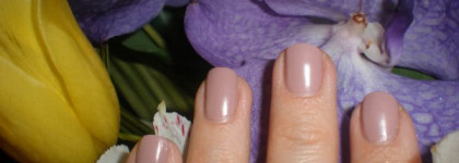 Осенний нюд лак для ногтей  Brigitte Bottier Super Matte 205