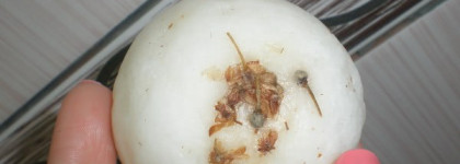 Расти, расти моя коса 2