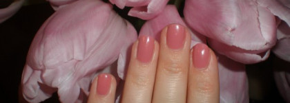 Dance Legend 560- моя любовь