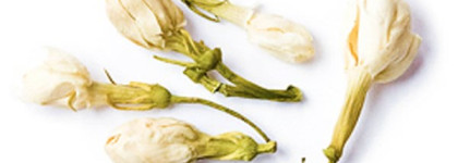 Внимание! Эта страничка ароматизирована! ...или  Jo Malone *Earl Grey and Cucumber cologne*