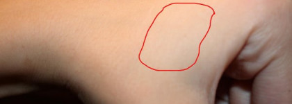 Victoria Shu Silk dream -за тёзок