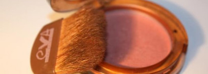 Румяноманьяк снова пишет...Eva NG №07