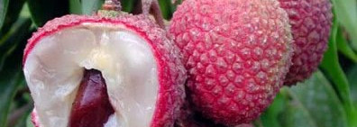 Sephora -долгожданная находка