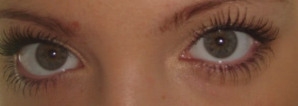 Shiseido Luminizing Satin Eye Color Trio оттенок BR209