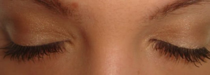 Shiseido Luminizing Satin Eye Color Trio оттенок BR209