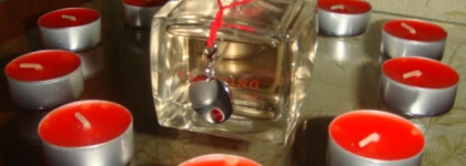 Tommy Hilfiger - Dreaming